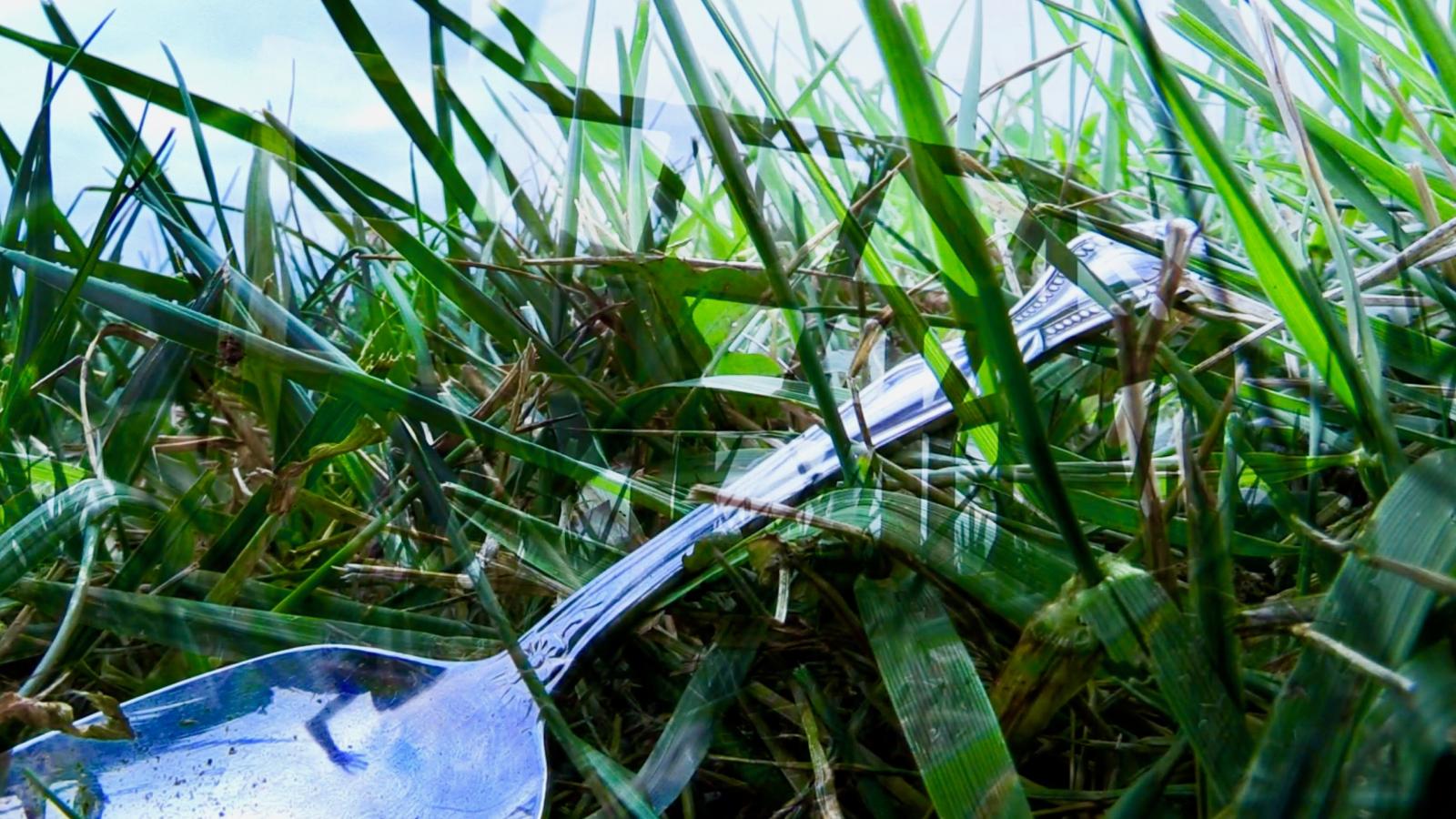 Serving spoon in grass
